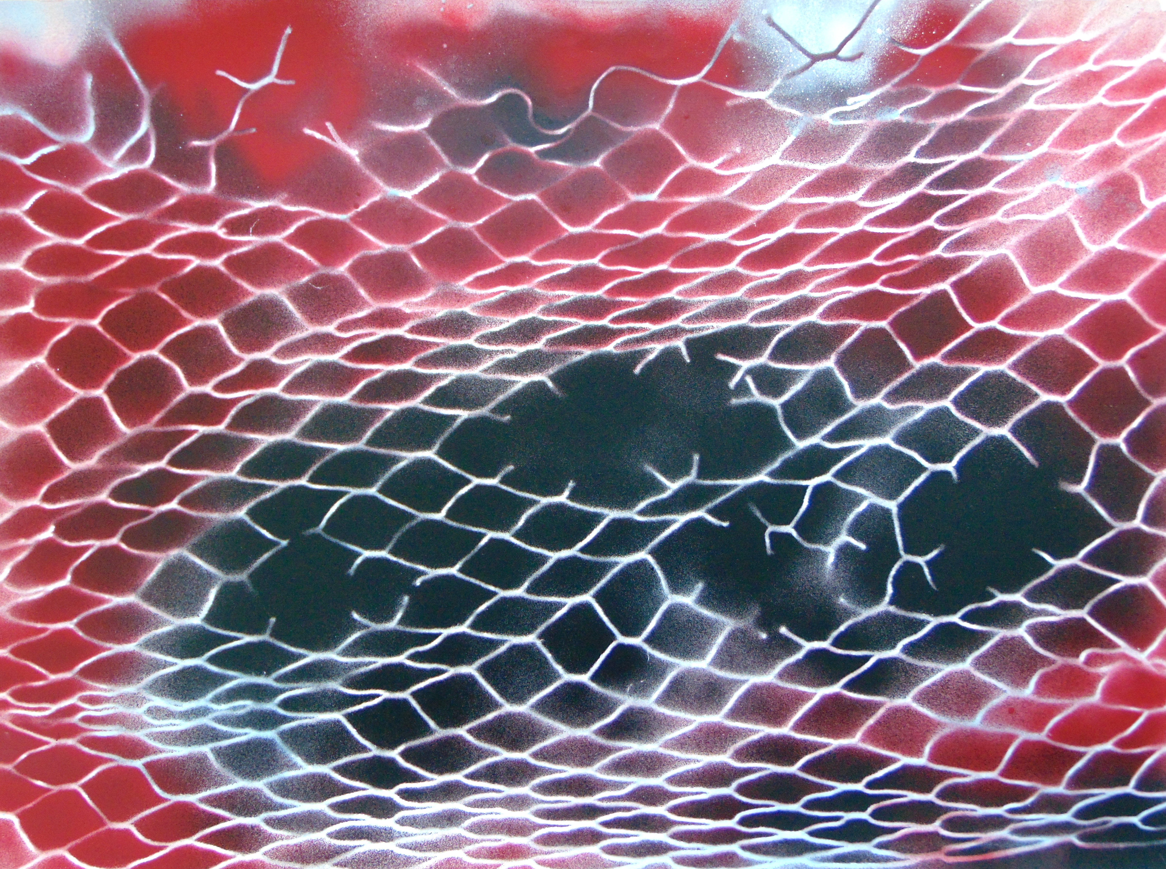 Broken Net (spray paint on canvas paper, 58cm x 77cm)